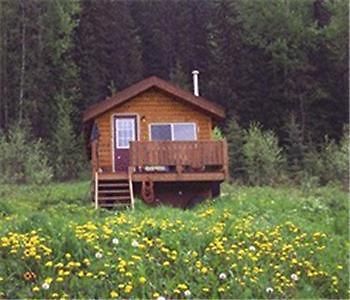 Bear Corner Adventures Bed & Bale Otel Golden Dış mekan fotoğraf