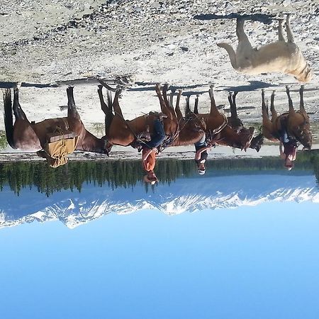 Bear Corner Adventures Bed & Bale Otel Golden Dış mekan fotoğraf