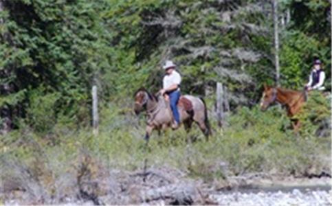 Bear Corner Adventures Bed & Bale Otel Golden Dış mekan fotoğraf