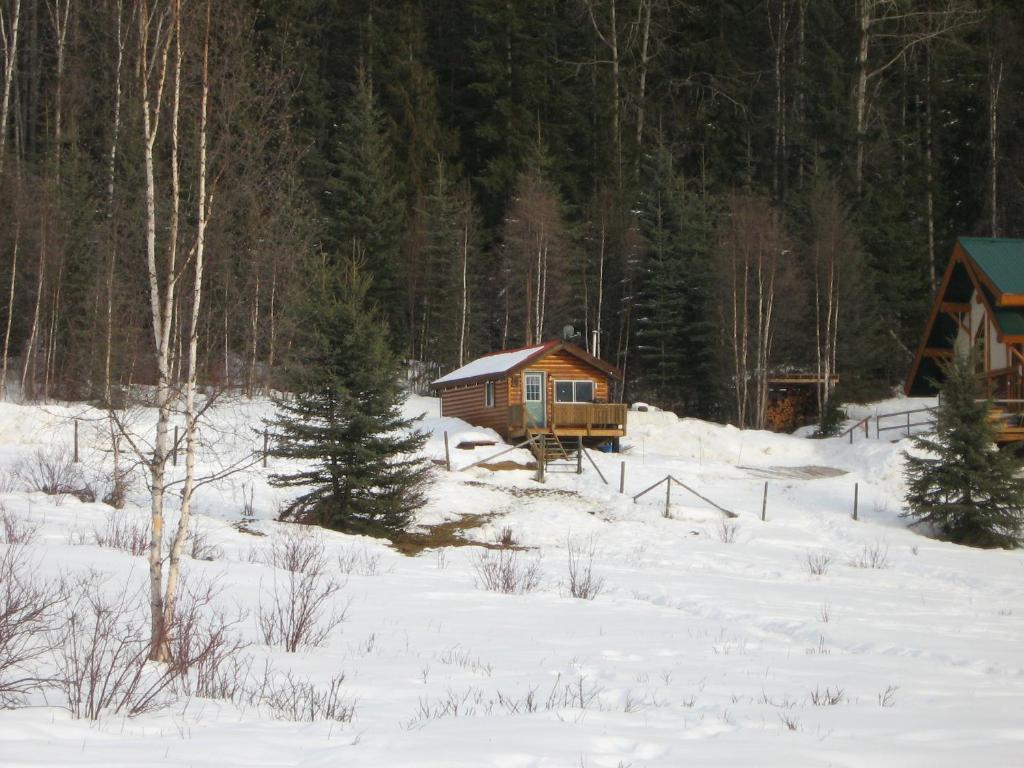Bear Corner Adventures Bed & Bale Otel Golden Dış mekan fotoğraf