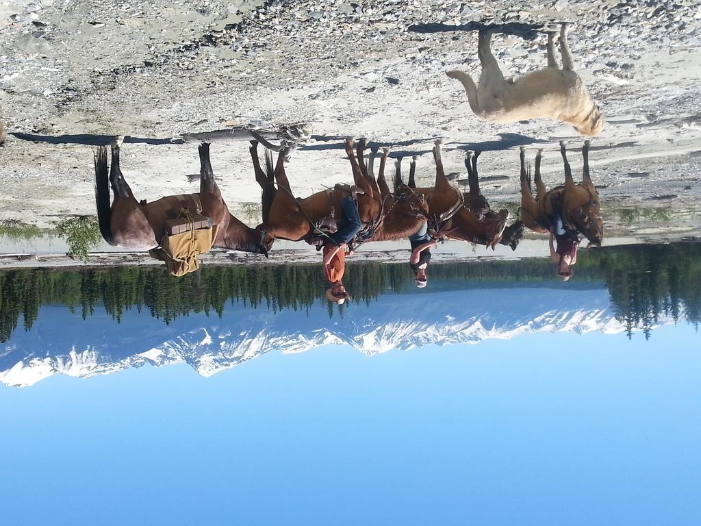 Bear Corner Adventures Bed & Bale Otel Golden Dış mekan fotoğraf